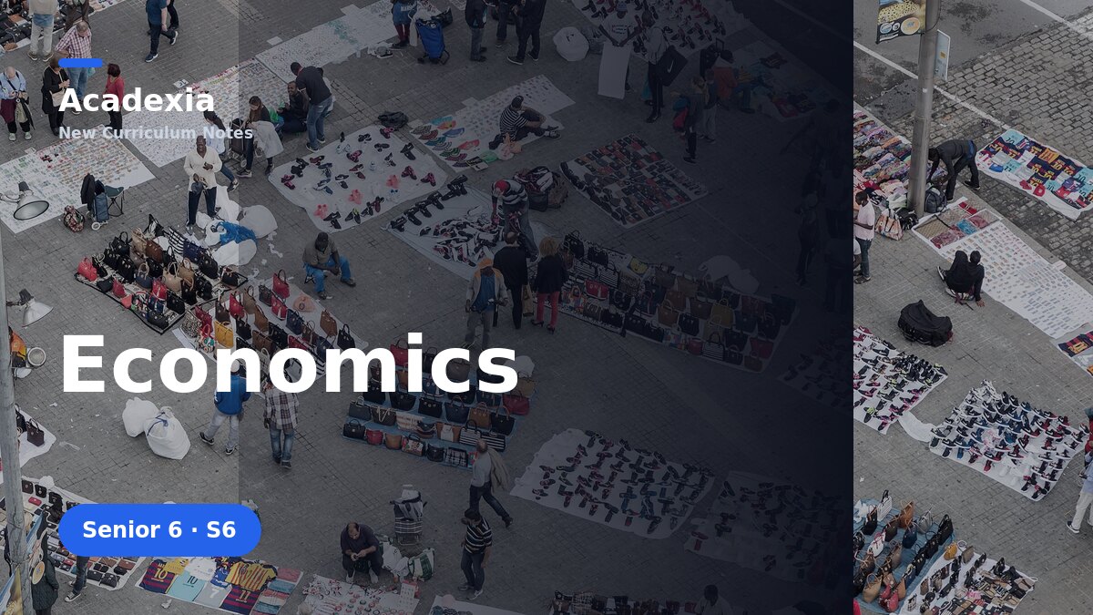 S6 Economics — New Curriculum Notes